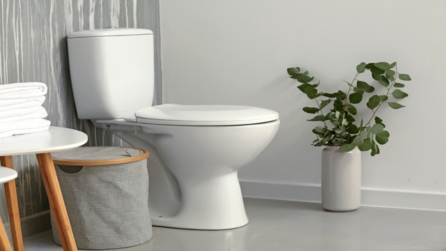 Toilette blanche moderne avec serviettes empilées, panier de rangement gris et eucalyptus en vase. Mur texturé gris et blanc.